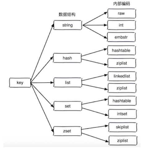 redis_data_struc